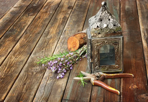 Lámpara oriental vintage, planta de salvia y tijeras de jardín sobre mesa de madera. concepto de naturaleza muerta. bellas artes . — Foto de Stock