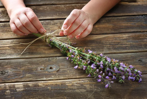 Manos de mujer sosteniendo flores de plantas salvia — Foto de Stock