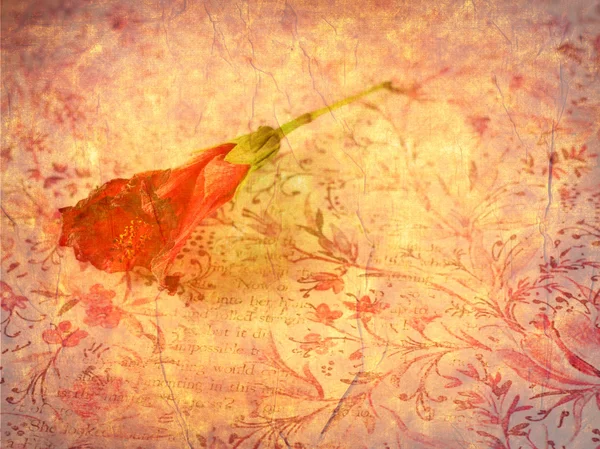 Grunge arka plan üzerinde kırmızı çiçek — Stok fotoğraf