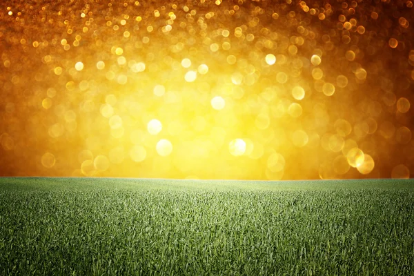 Tall grass background with glitter lights — Stock Photo, Image