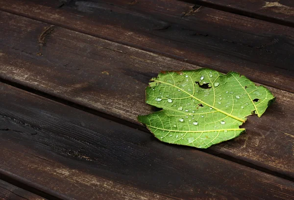 Texture of droplets on green leaf — Stock Photo, Image