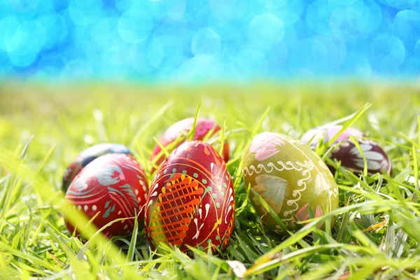 Traditional easter eggs on grass — Stock Photo, Image