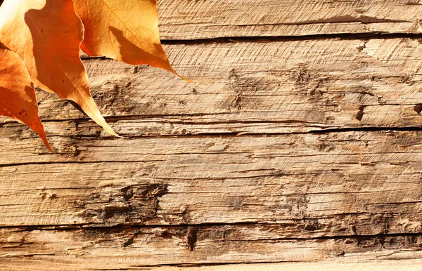 Őszi levelek fából készült háttér — Stock Fotó