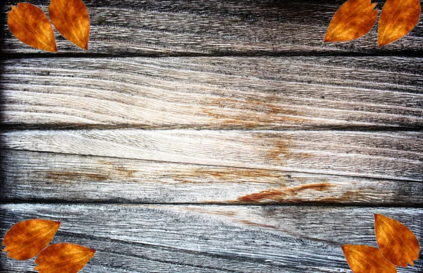 Textura de madeira — Fotografia de Stock