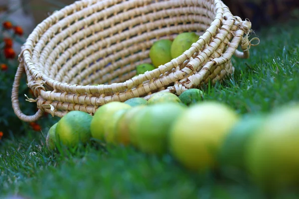 Lemons in basket on grass — Stock Photo, Image