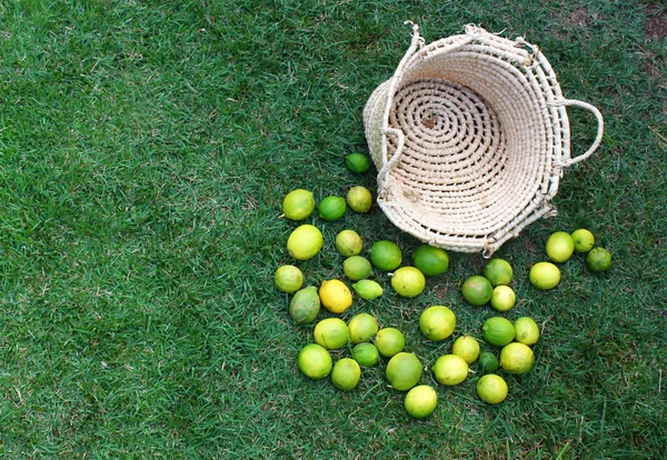 Wicker basket and lemons — Stock Photo, Image