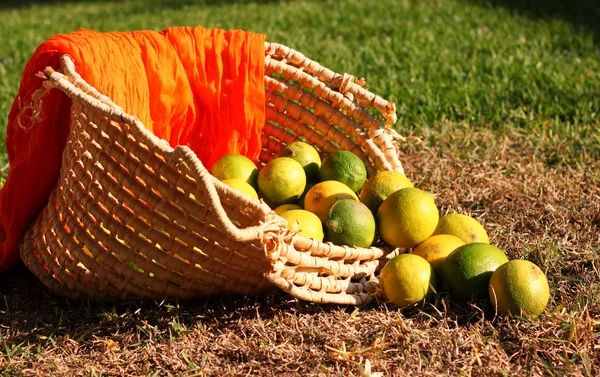 Limones en la cesta en la hierba en el día soleado —  Fotos de Stock