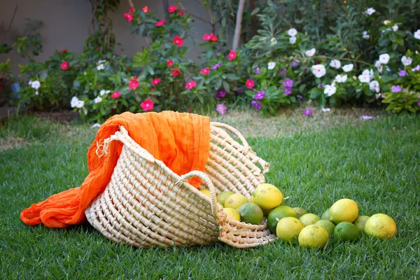 Citrons dans le panier — Photo