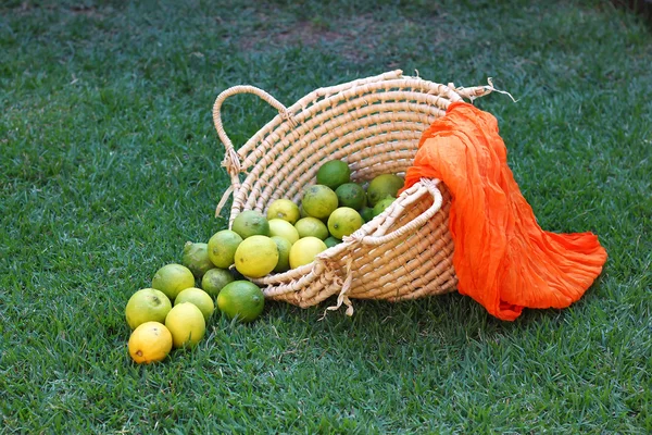 Limones en cesta —  Fotos de Stock