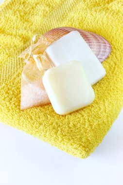 sabun ve havlu üzerine sünger
