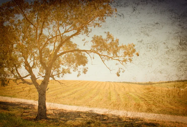 Grunge fundo com árvore solitária — Fotografia de Stock