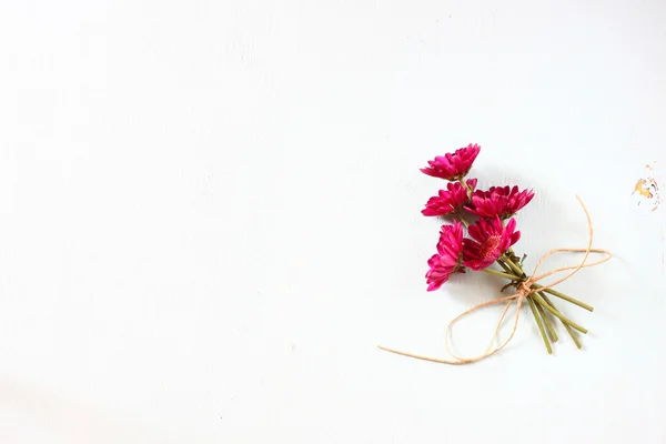 Gerber kwiaty na białym tle — Zdjęcie stockowe
