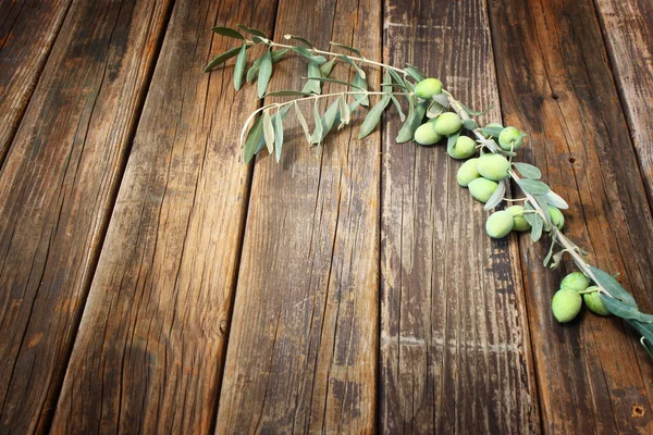 Гілка оливкового дерева та сирі оливки . — стокове фото