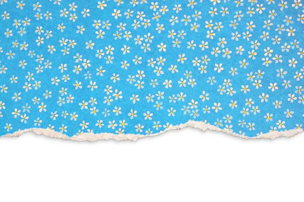 Papel rasgado azul com padrão floral — Fotografia de Stock