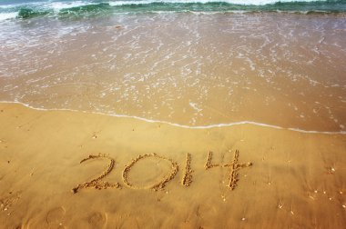 Yeni yıl 2014