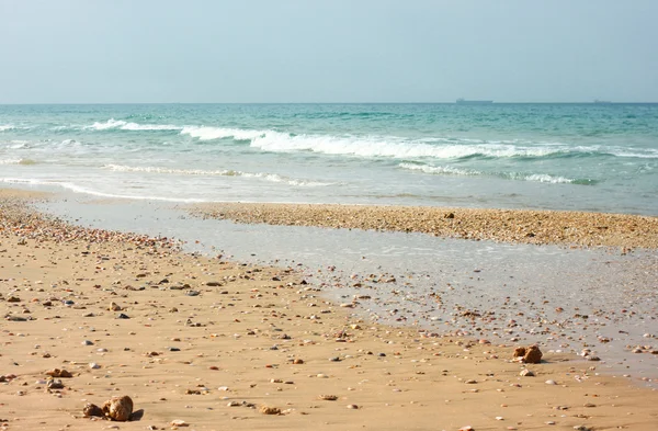 Open view of beach shore — Stock Photo, Image