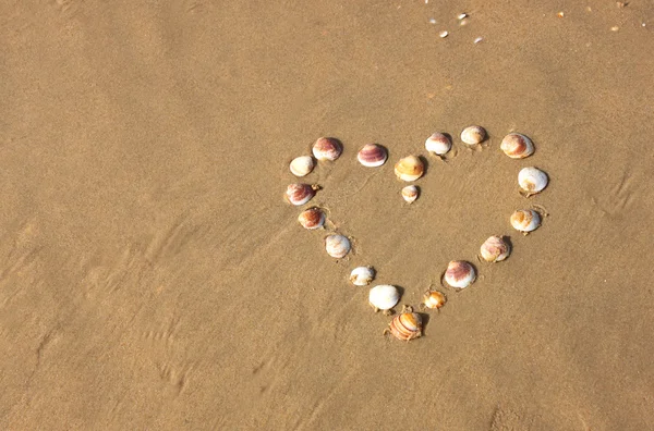 Heart shape made from sea shells on sandy beach. room for text. — Stock Photo, Image