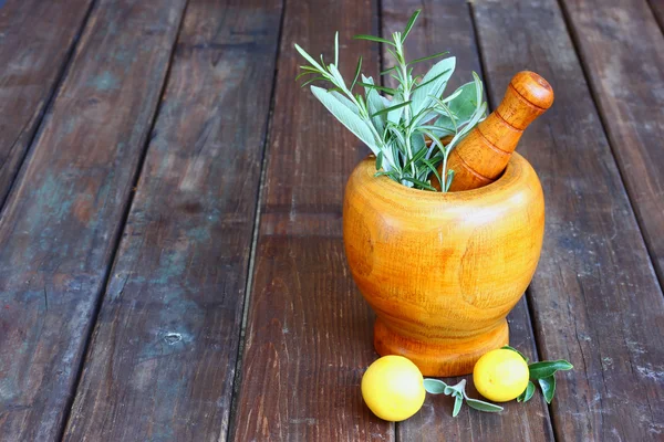 Romero fresco y hierbas de salvia — Foto de Stock