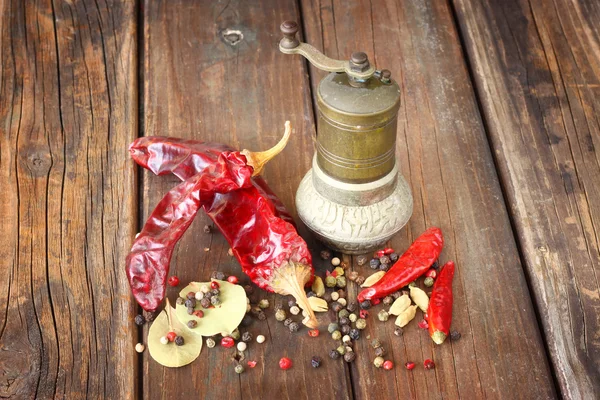 Metal spice grinder with red hot peppers and bay leaf — Stock Photo, Image