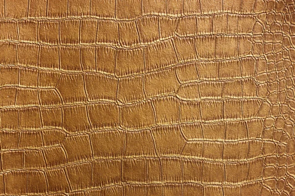 Pelle di coccodrillo dorata Texture e modello, primo piano — Foto Stock