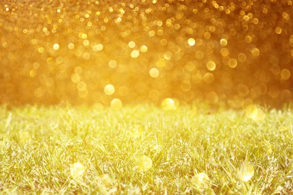 Meadow with golden bokeh — Stock Photo, Image