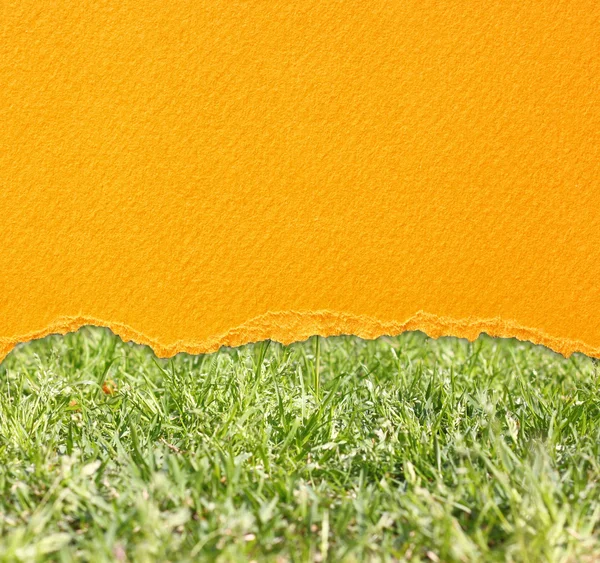Paper over grass — Stock Photo, Image