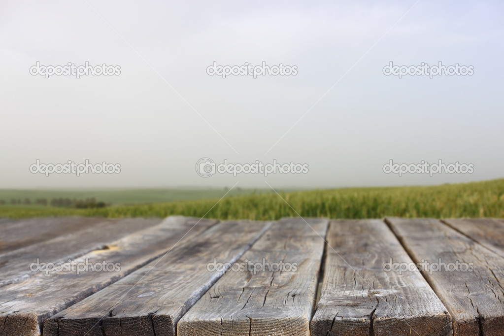Wooden planks and meadow