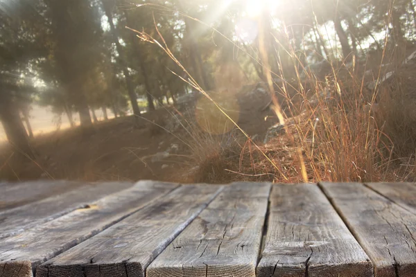 Junta con bosque — Foto de Stock