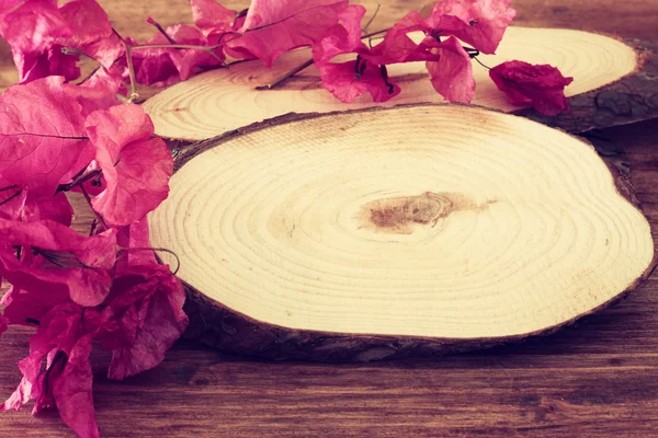 Kesit ağaç gövdesi ve parlak pembe çiçek — Stok fotoğraf