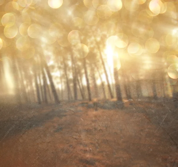 Lekkie pęknięcie wśród drzew łąka. filtrowanego obrazu — Zdjęcie stockowe