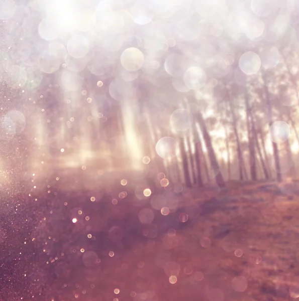 Ljus brast bland äng träd. filtrerade bilden — Stockfoto