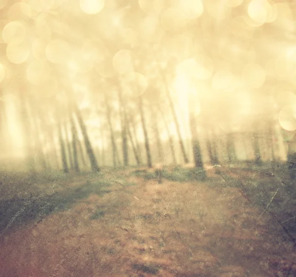 Světlo praskla mezi stromy, louka. filtrovaný obrázek — Stock fotografie