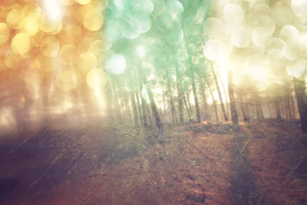 Light burst among meadow trees. filtered image — Stock Photo, Image