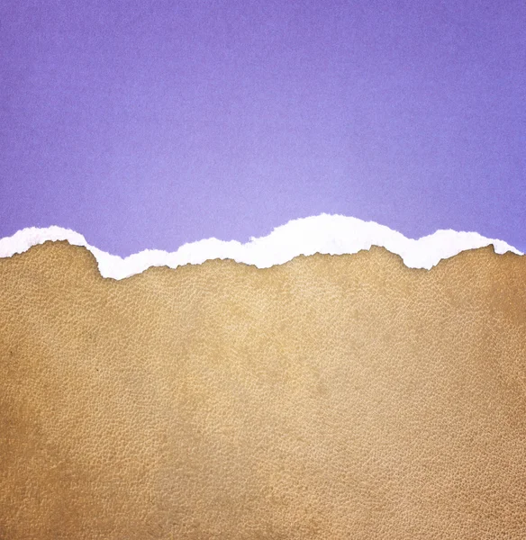 Old leather texture background pattern and purple vintage torn paper — Stock Photo, Image