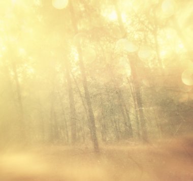 ağaçlar ve glitter bokeh ışıkları arasında ışık soyut fotoğraf burst.