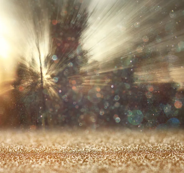 Abstract photo of light burst among trees and glitter bokeh lights. image is blurred and filtered . — Stock Photo, Image