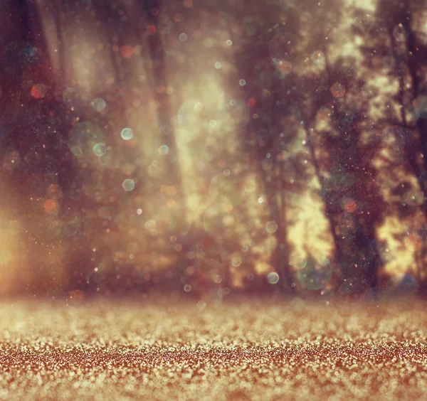 Abstract photo of light burst among trees and glitter bokeh lights. image is blurred and filtered . — Stock Photo, Image