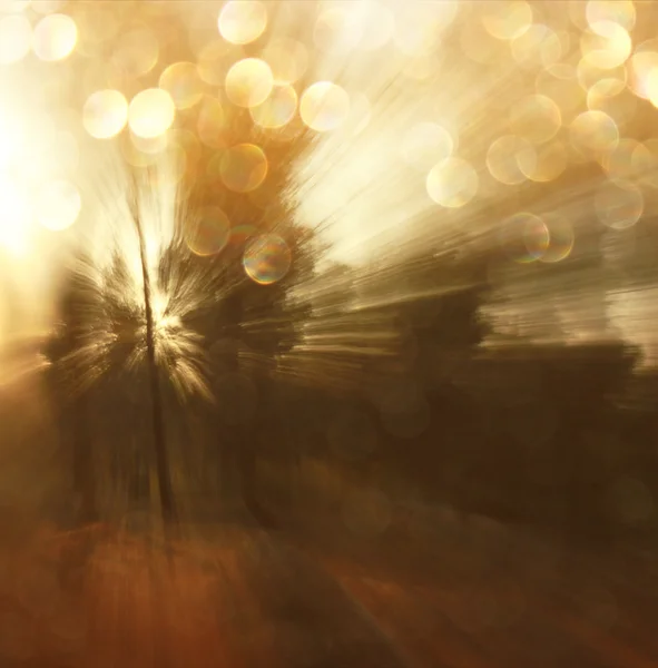 Abstract photo of light burst among trees and glitter bokeh lights. image is blurred and filtered . — Stock Photo, Image