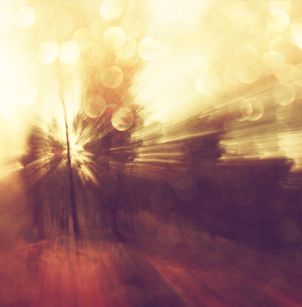 Abstract photo of light burst among trees and glitter bokeh lights. image is blurred and filtered .