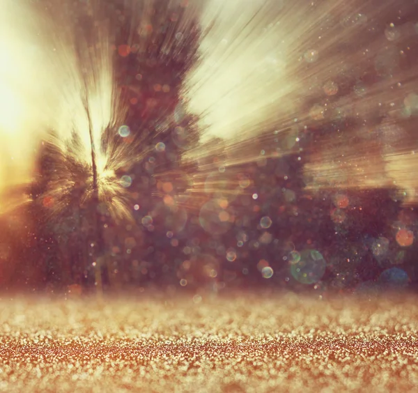 Abstract photo of light burst among trees and glitter bokeh lights. image is blurred and filtered . — Stock Photo, Image