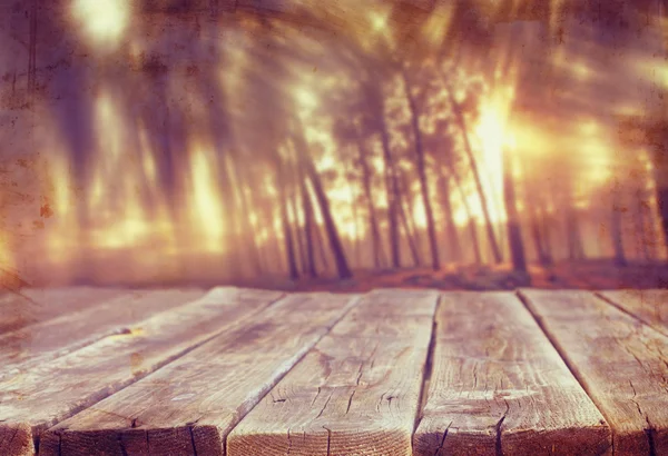 Wood boards and summer light among trees. textured image. filtered. — Stock Photo, Image