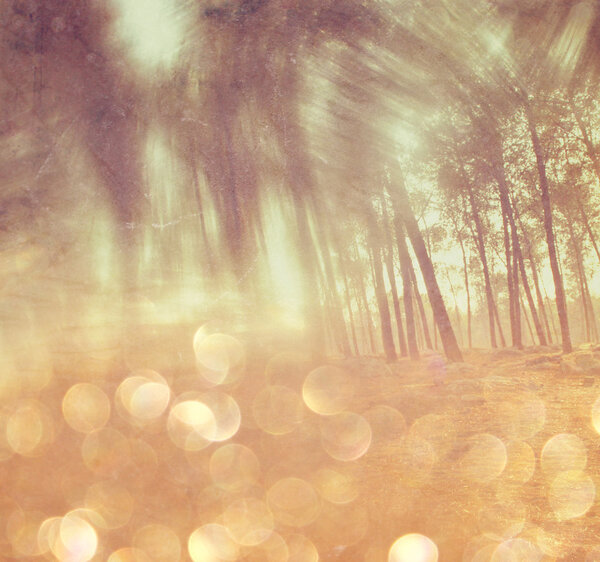 Blurred abstract photo of light burst among trees and glitter bokeh lights. filtered image and textured.