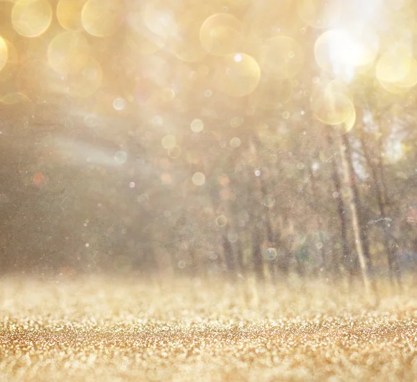 Abstrakt foto af lys brast blandt træer og glitter bokeh lys . - Stock-foto