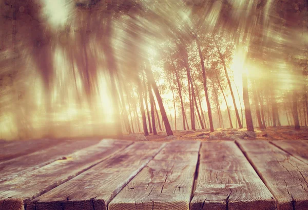 Tavole di legno e luce estiva tra gli alberi. immagine strutturata. filtrato . — Foto Stock