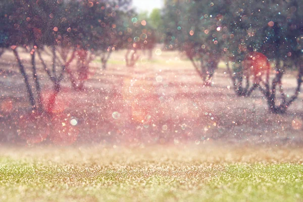 Verschwommenes abstraktes Foto von Licht platzt zwischen Bäumen und glitzernden Bokeh-Lichtern. gefiltertes Bild und texturierte. — Stockfoto