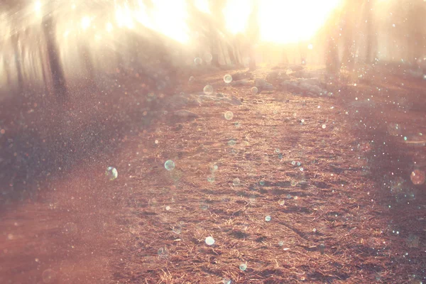 Tåkete abstrakt foto av lys som brast mellom trærne og glitterlys. filtrert bilde – stockfoto