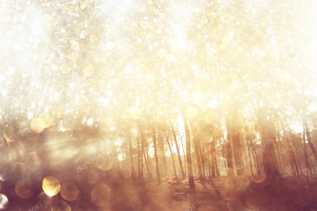 Abstract photo of light burst among trees and glitter bokeh lights. filtered image and textured. image is blurred.
