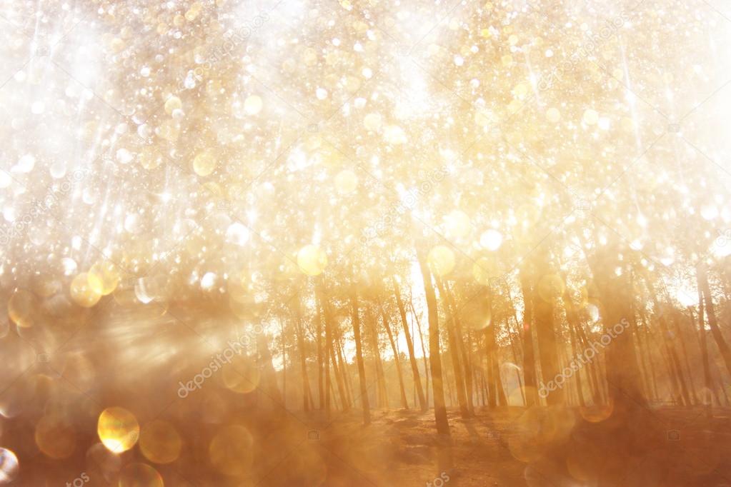 Abstract photo of light burst among trees and glitter bokeh lights. filtered image and textured. image is blurred.