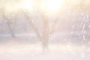 ağaçlar ve glitter bokeh ışıkları arasında ışık patlaması soyut fotoğraf bulanık. Filtre uygulanmış görüntü