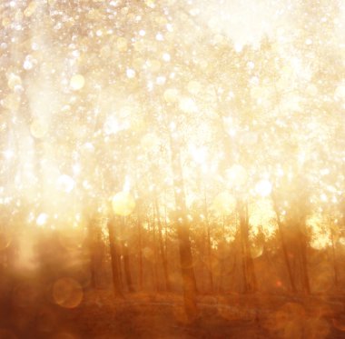 ağaçlar ve glitter bokeh ışıkları arasında ışık patlaması soyut fotoğraf bulanık. Filtre uygulanmış görüntü